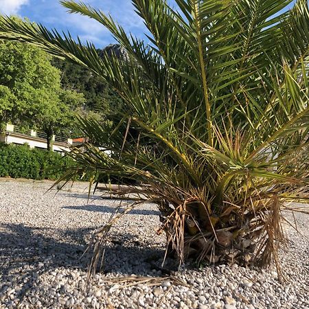 Villa Sabine Apartment Losinj Медвежа Экстерьер фото